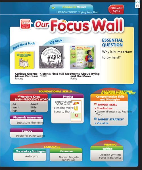 Focus Wall 26 